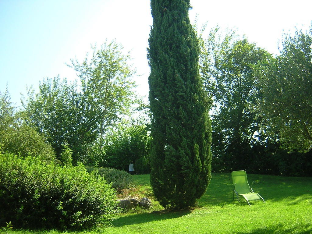 Agriturismo Trebisonda Country Resort Monzambano Buitenkant foto