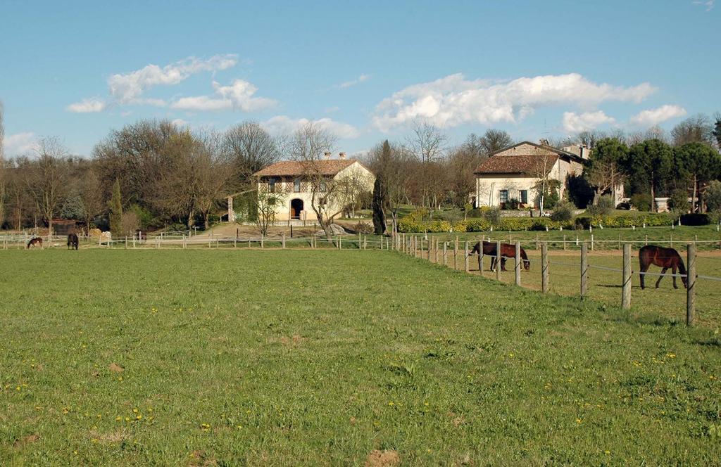 Agriturismo Trebisonda Country Resort Monzambano Buitenkant foto