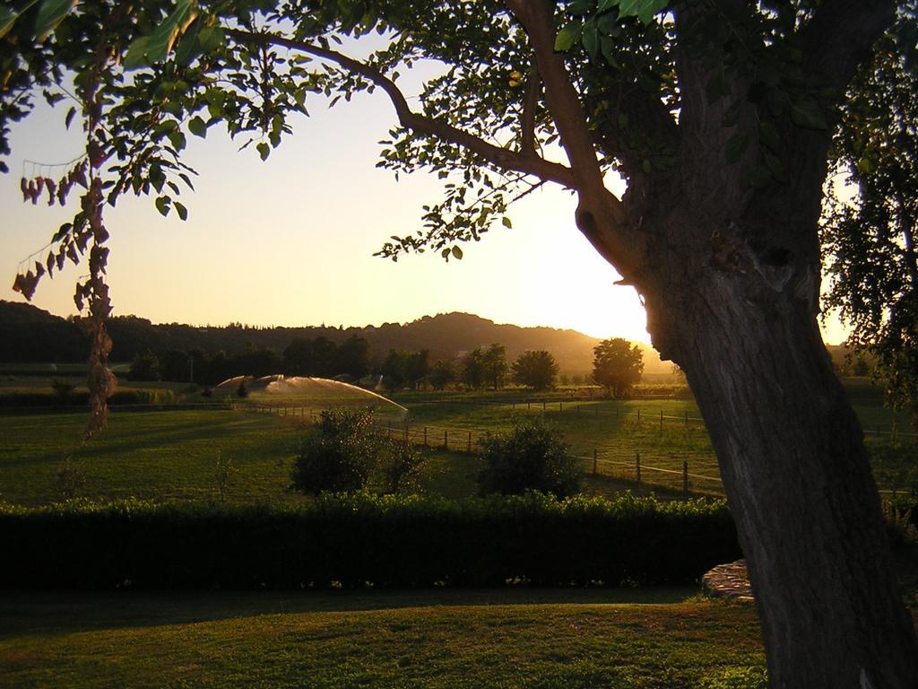 Agriturismo Trebisonda Country Resort Monzambano Buitenkant foto